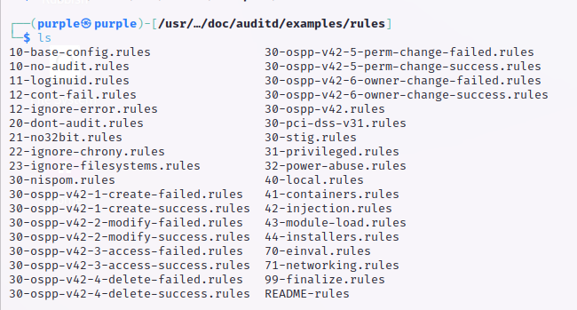 audit-rulesets